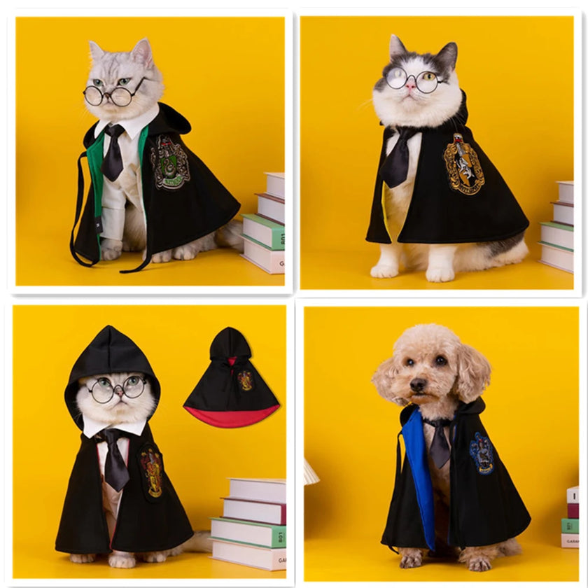 Witchy Ways: Halloween Pet Capes