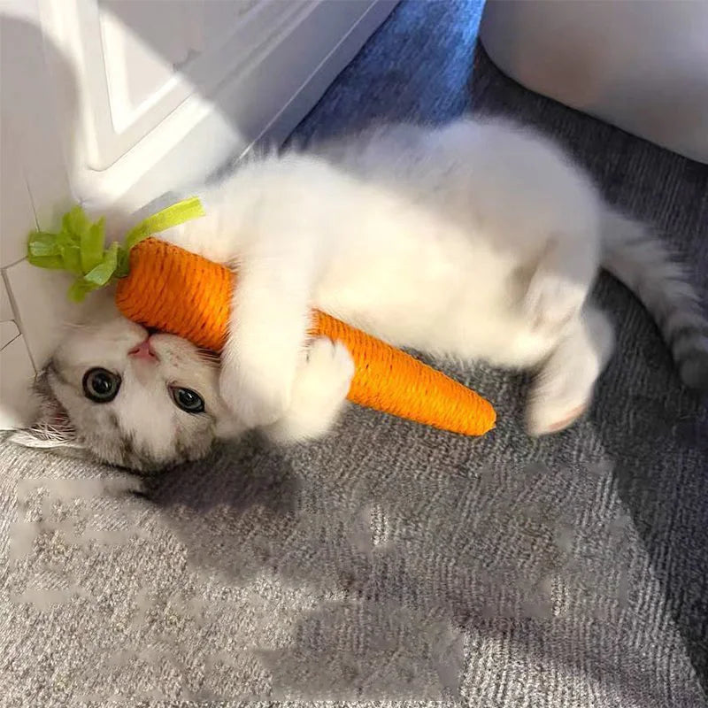 Squeaky Carrot Cat Toy