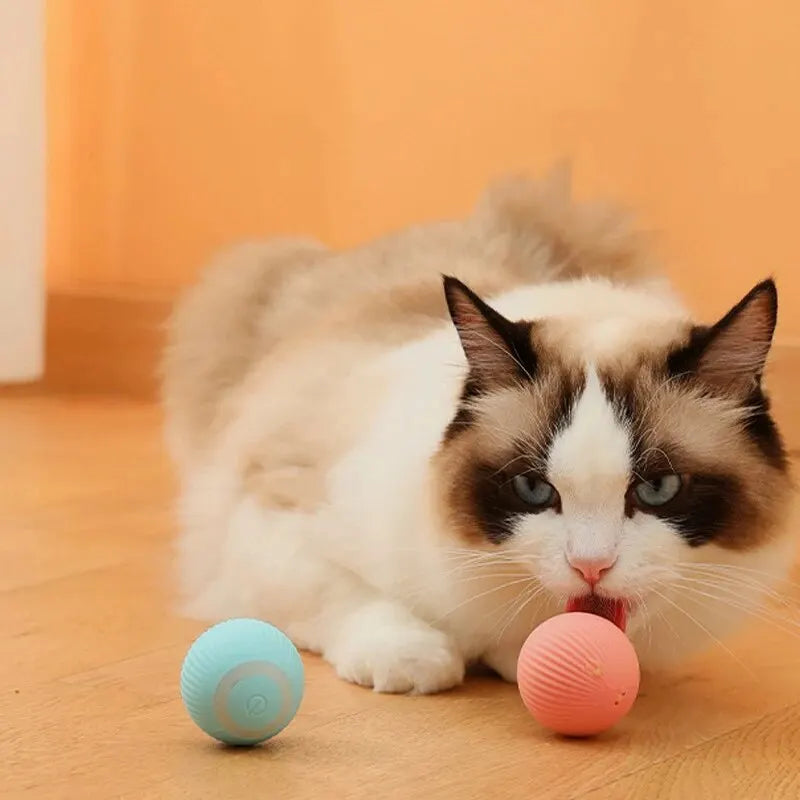 Gravity-Powered Cat Toy - Rolling Ball, Interactive