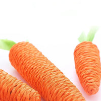 Squeaky Carrot Cat Toy