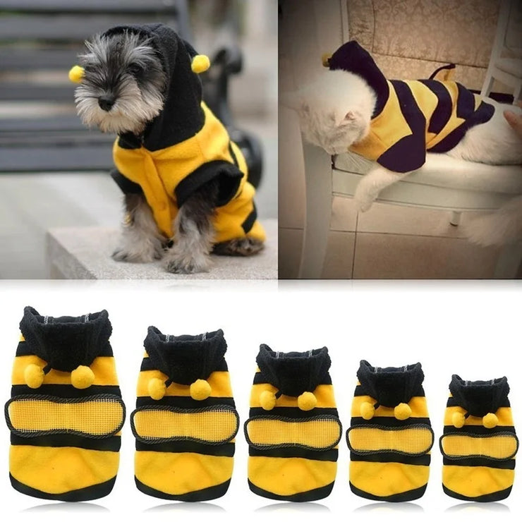 Buzzing with Style: Bee-themed Pet Coats