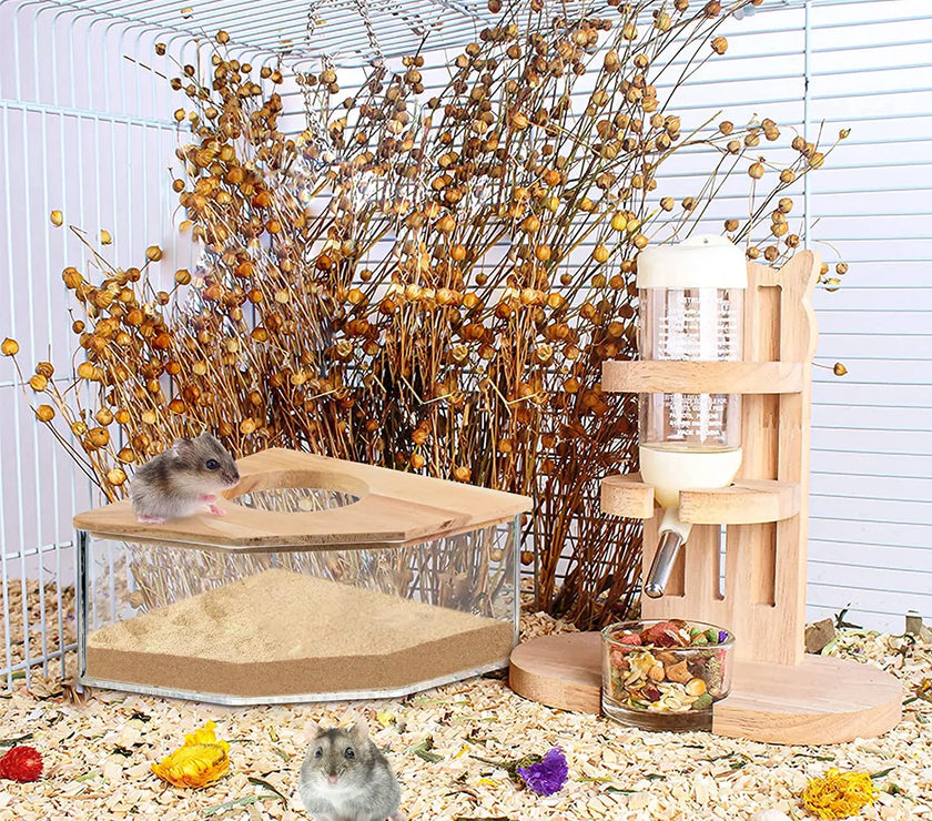 Hamster Bathroom House Sandbox Full Transparent Urine Sand Basin Golden Bear Supplies Sand Bath Container Small Pet Bathroom