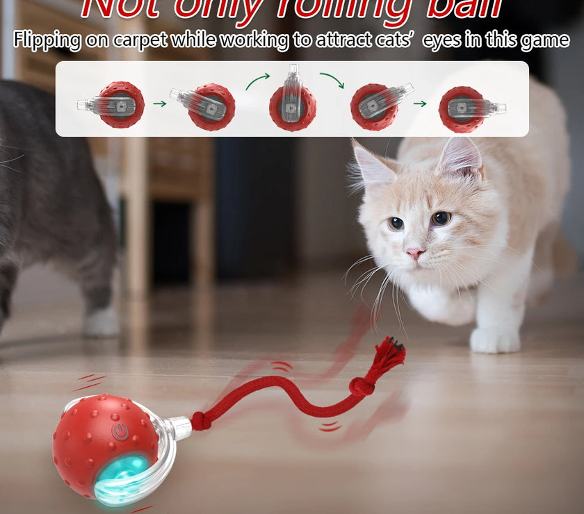 Smart Cat Toy with Motion-Activated Sensor