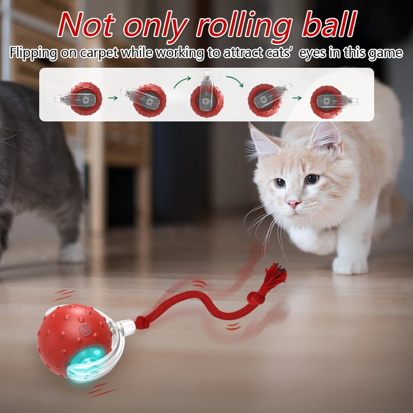 Smart Cat Toy with Motion-Activated Sensor