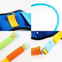 Blind Dog Halo Collar (Anti-Collision) | Safe Walks for All Sizes