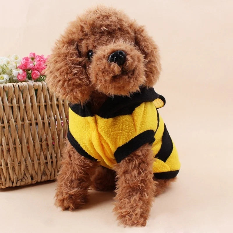 Buzzing with Style: Bee-themed Pet Coats