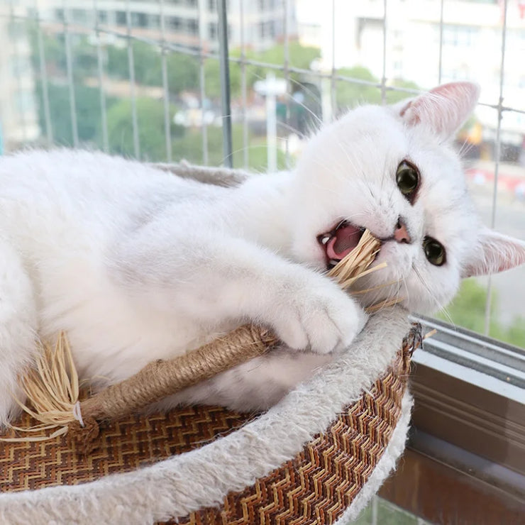 Natural Catnip Chew Stick