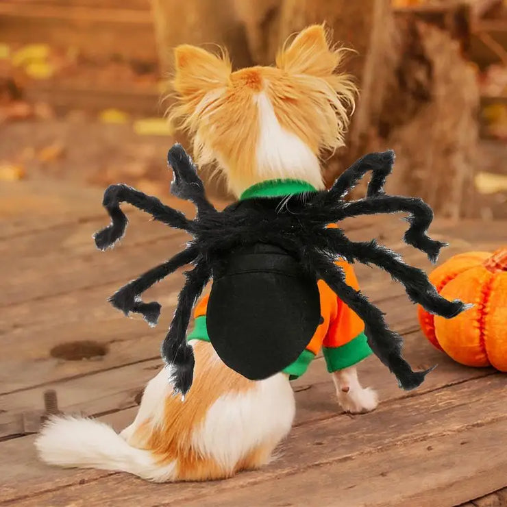 Arachnid Attack: Spooky Spider Costumes