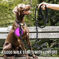 Strong Dog Leash (Reflective) | Big & Medium Breeds | Control Pulling