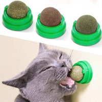 Stick-On Cat Toy with Catnip - Healthy & Natural