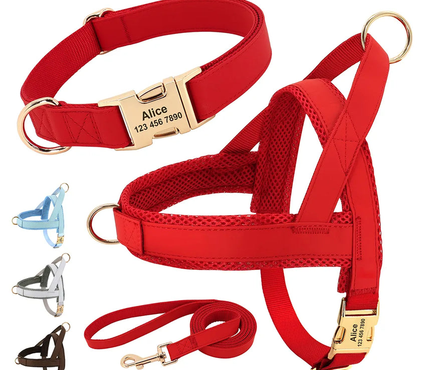 Customized Leather Dog Collar Harness Leash Set Personalized Pet Mesh Vest Harness ID Pet Leads For Small Medium Large Dogs