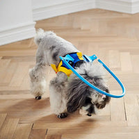 Blind Dog Halo Collar (Anti-Collision) | Safe Walks for All Sizes