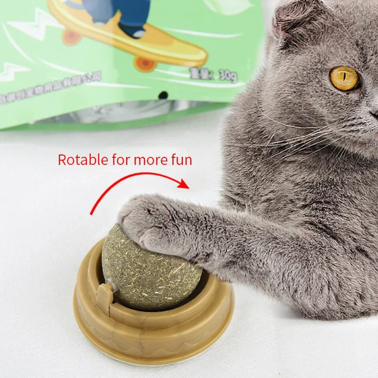 Stick-On Cat Toy with Catnip - Healthy & Natural