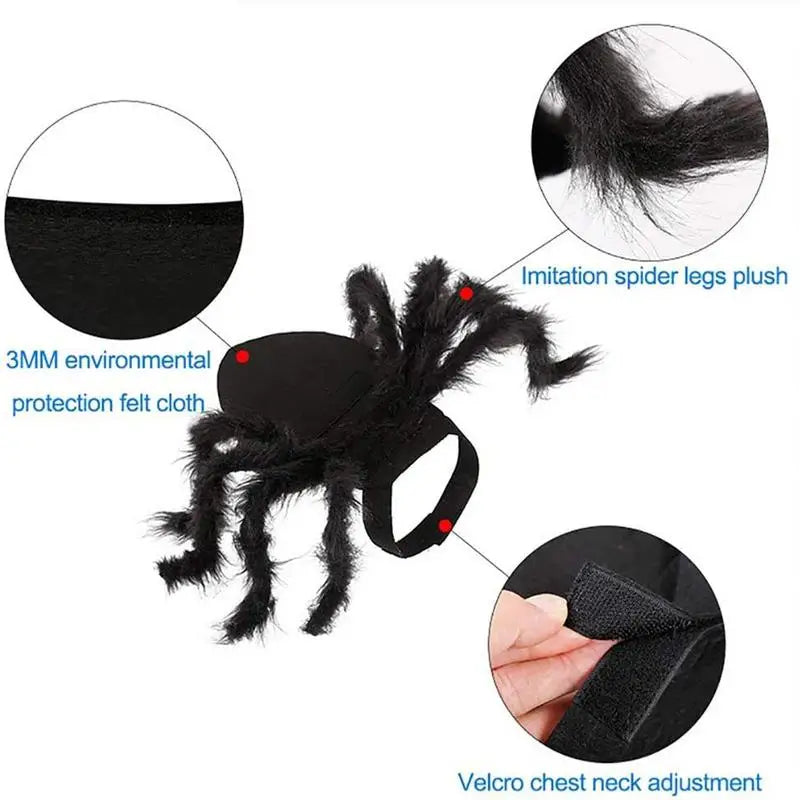 Arachnid Attack: Spooky Spider Costumes