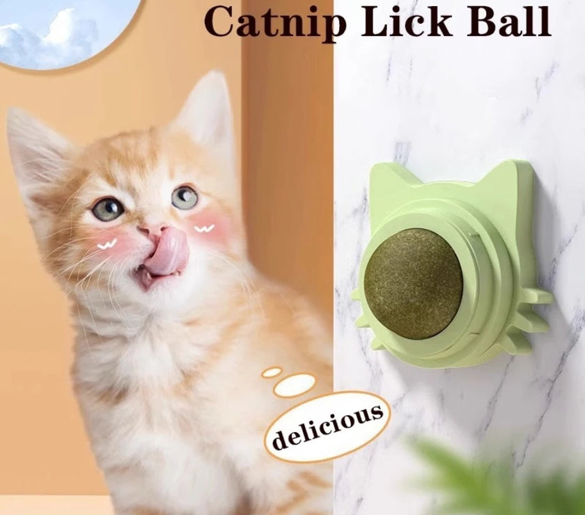 Interactive Cat Toy - Rotatable Catnip Ball