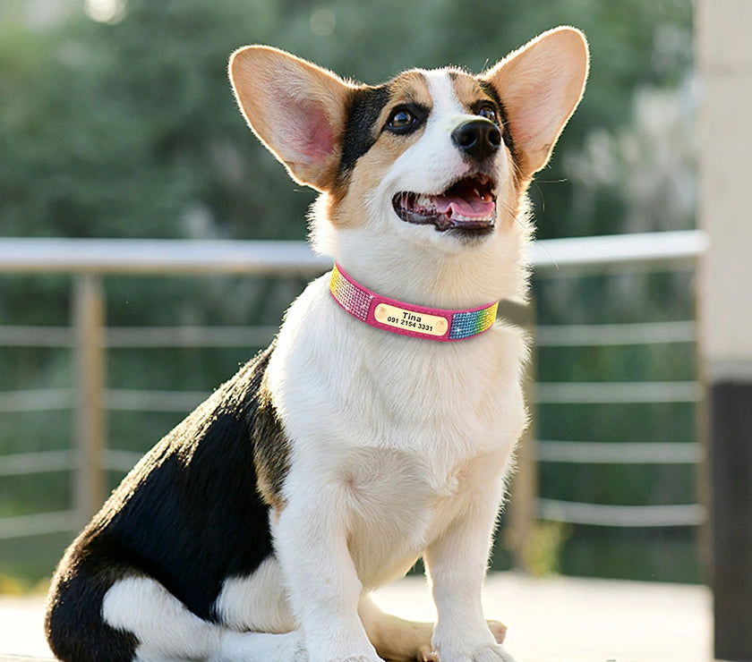 Sparkling Safety: Personalized Bling Dog Collar with Engraved ID Tag for Small & Medium Pups