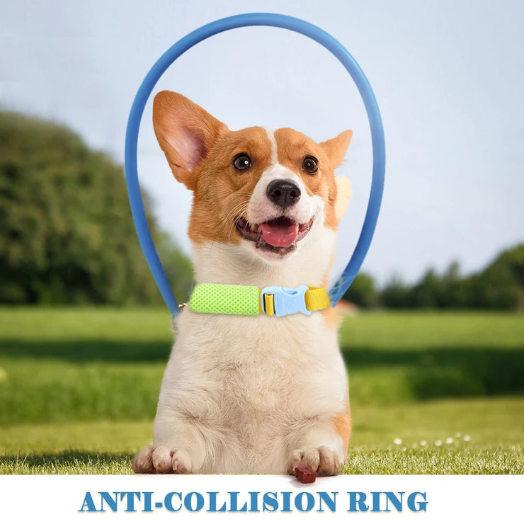 Blind Dog Halo Collar (Anti-Collision) | Safe Walks for All Sizes