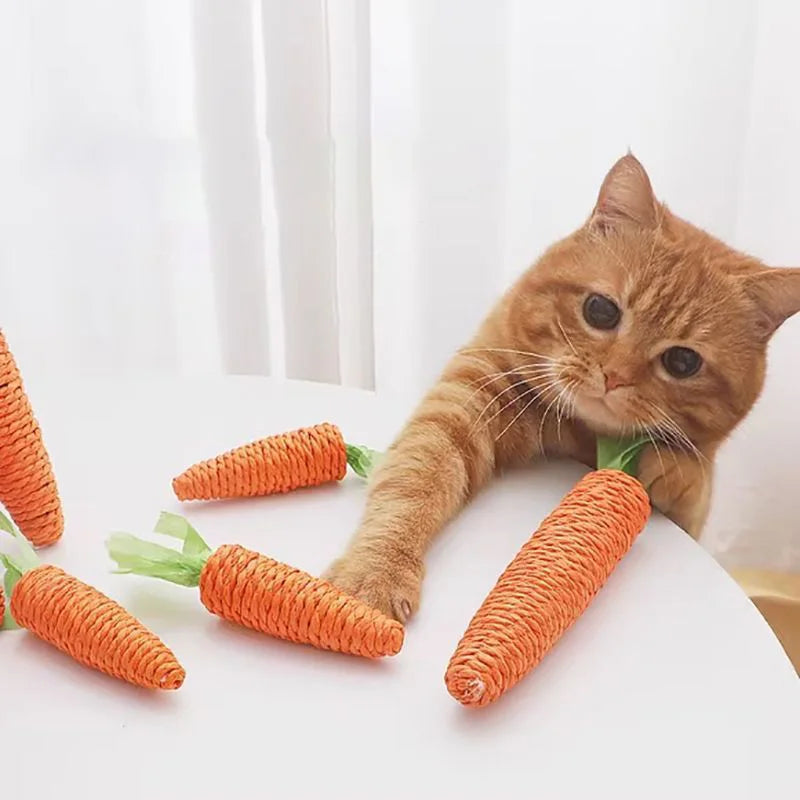 Squeaky Carrot Cat Toy