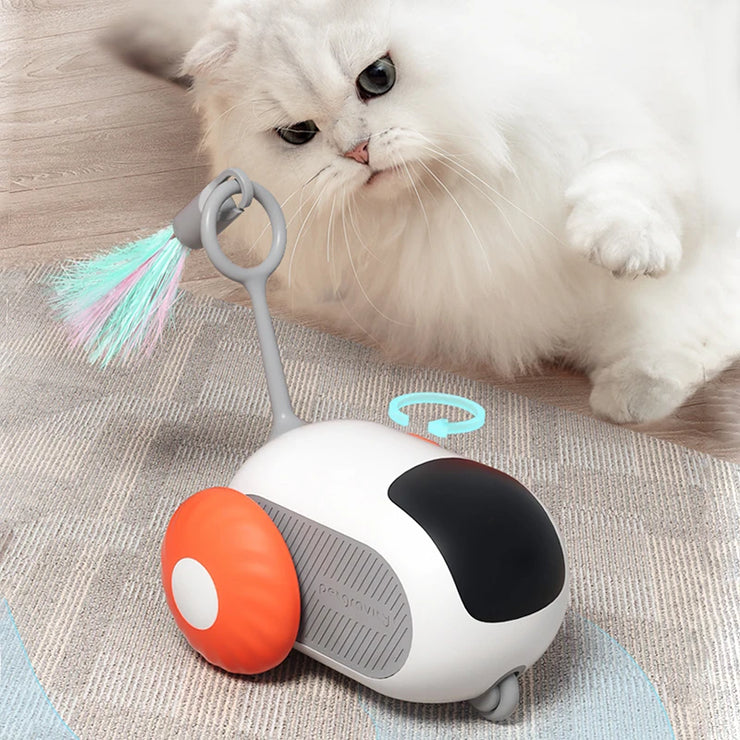 Smart Racing Cat Toy