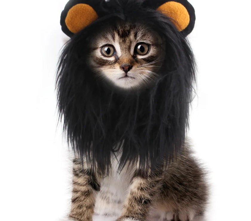 Kitten Halloween Cosplay Costume Wear Headgear Cute Pets Clothing Headdress Products Pet Dog Cat Lovely Lion Headdress