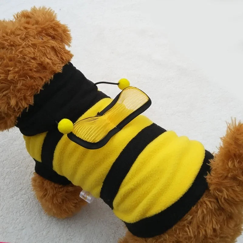 Buzzing with Style: Bee-themed Pet Coats