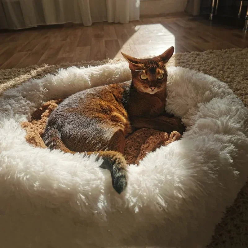 Soft Plush Pet Beds for a Restful Sleep