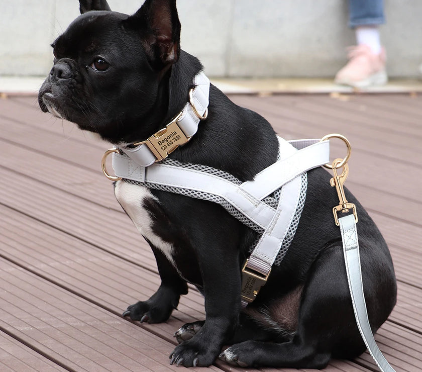 Customized Leather Dog Collar Harness Leash Set Personalized Pet Mesh Vest Harness ID Pet Leads For Small Medium Large Dogs