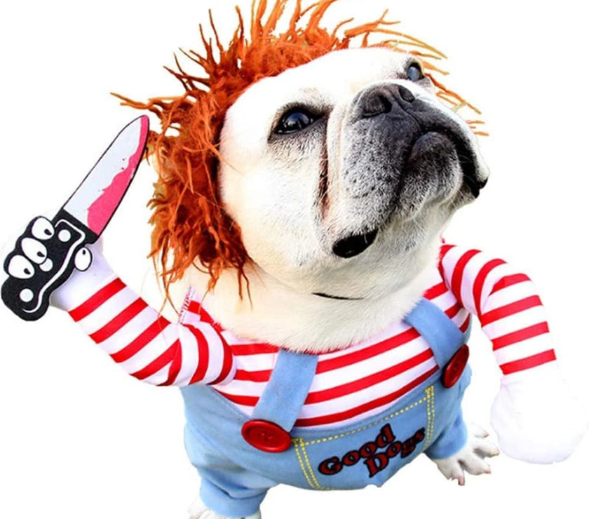 Chucky's Canine Companion: Halloween Costumes