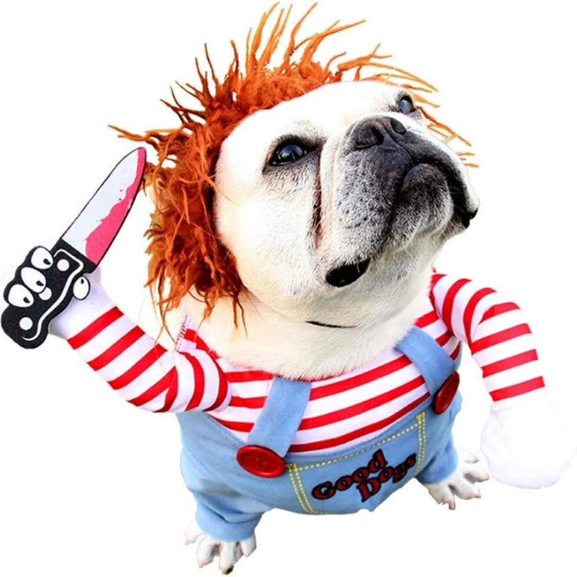 Chucky's Canine Companion: Halloween Costumes