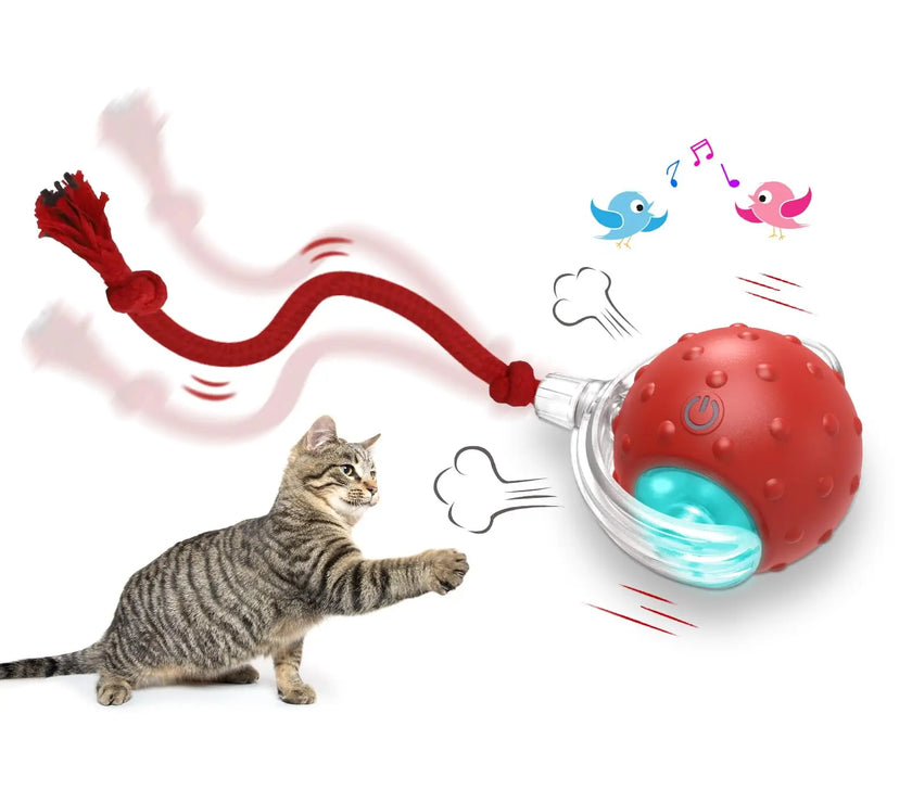 Smart Cat Toy with Motion-Activated Sensor