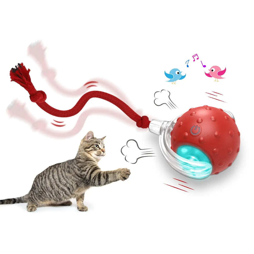 Smart Cat Toy with Motion-Activated Sensor